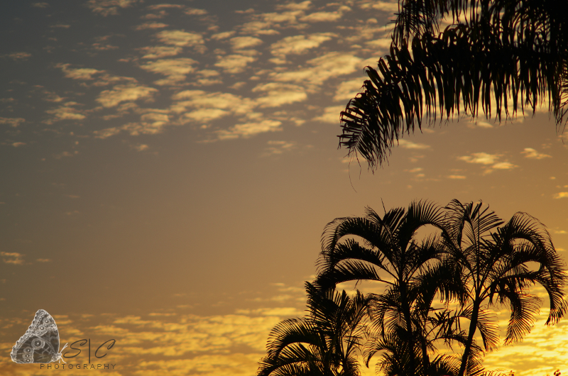 Sunset - West Africa